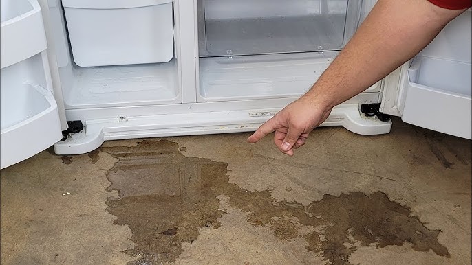 Fridge leaking water repair